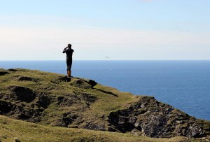 14145982033_6a1af0a5b7_z